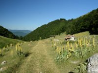 2026-06-20 Sopralluogo Trail Duchessa 019